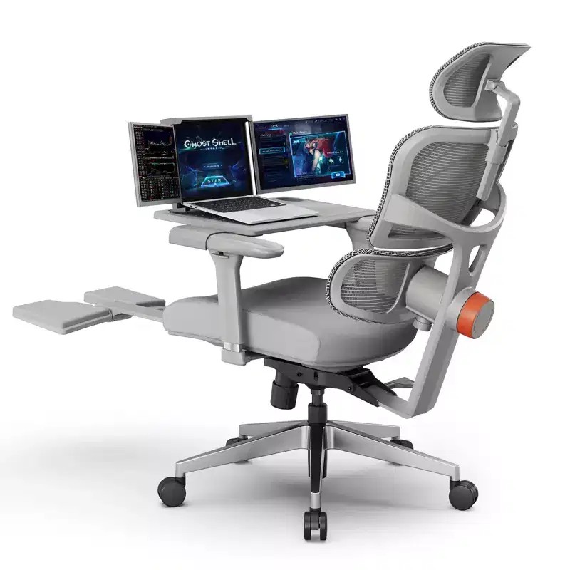 Ergonomic Office Chair with Footrest - 4D Armrest Recliner Chair - NT002+LAPD-GRAY