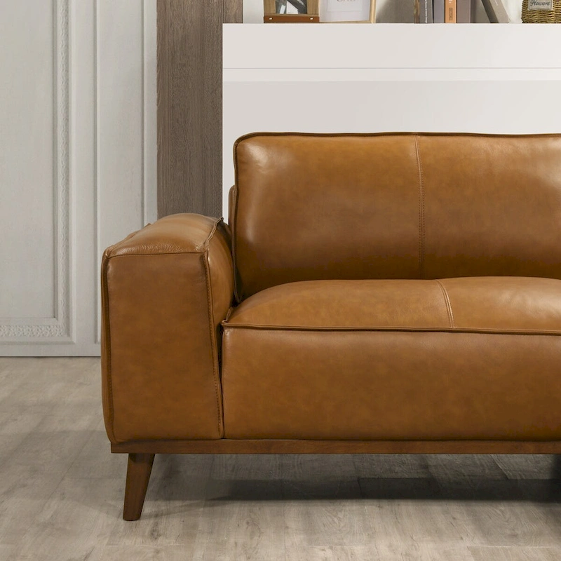 Dayton Mid-Century Modern Genuine Leather Sectional Sofa