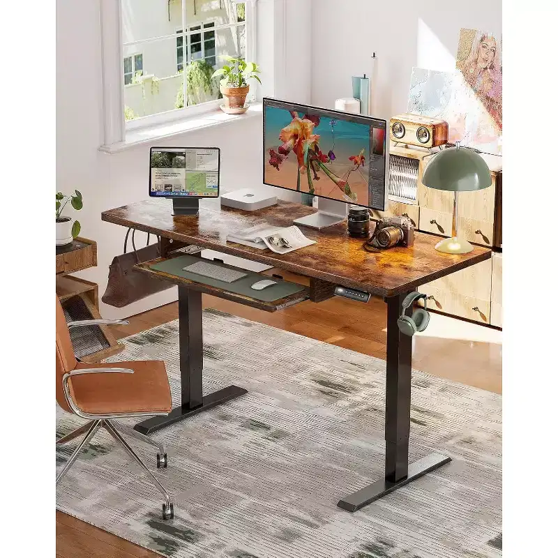 Electric Standing Desk, 48x24 Inch Adjustable Height with 27.5 to 46.7 In Height Range, 4 Memory Presets, Suitable for use in offices and studies