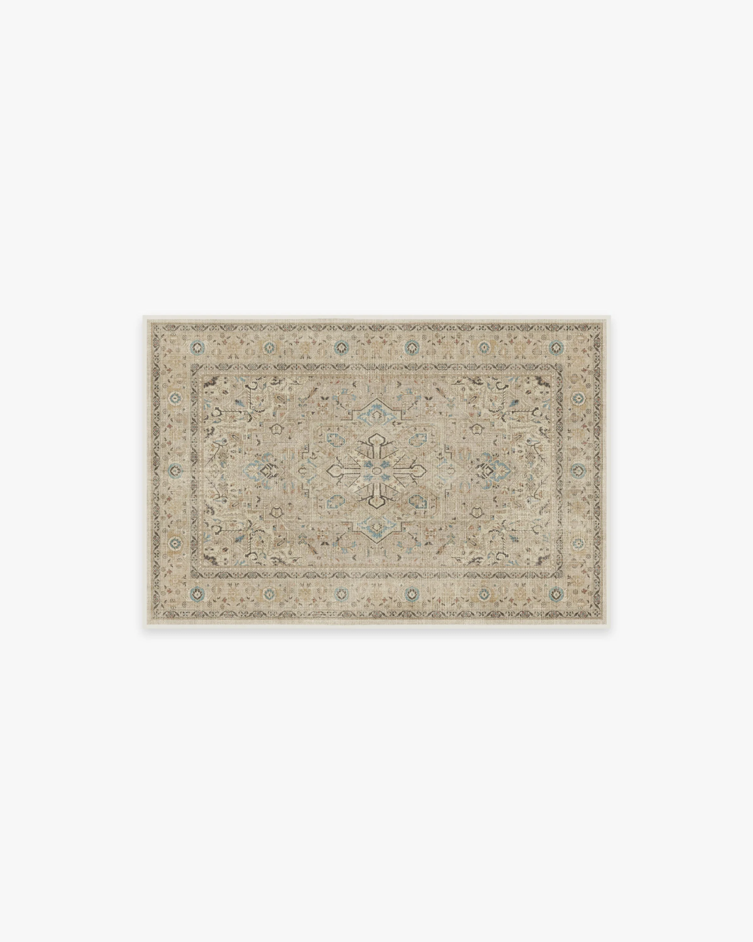Minimalist Persian Flatwoven Rug with Washable Ivory Medallion & Border for Living Room & Bedroom
