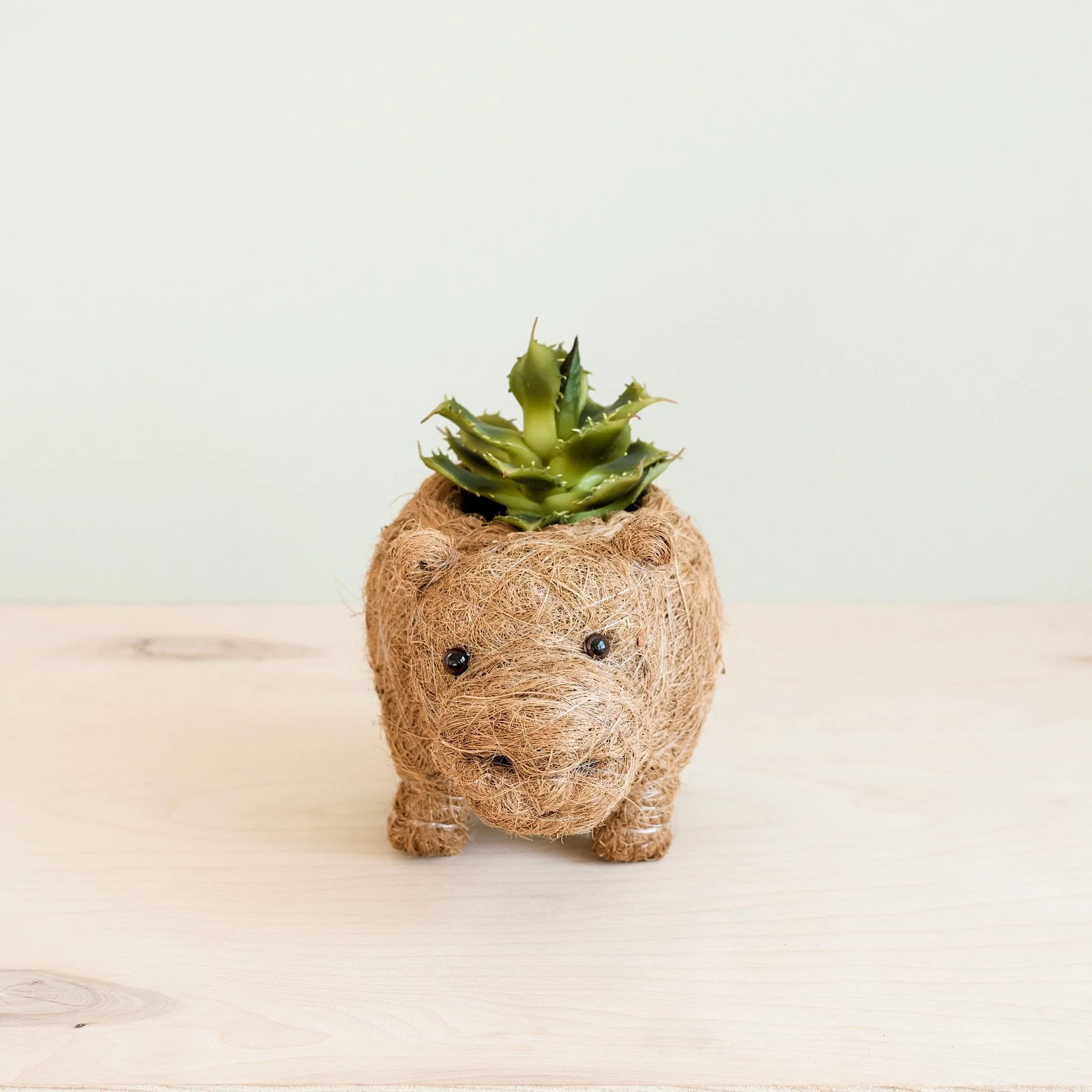 Baby Hippo Plant Pot - Handmade Pots
