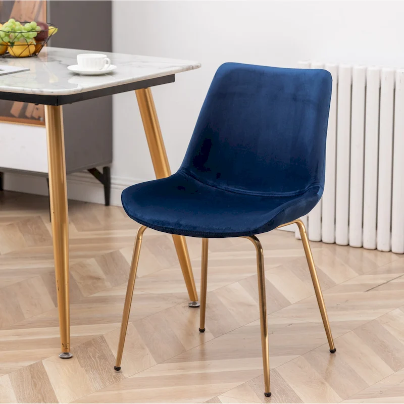 Roundhill Furniture Aufurr Modern Velvet Dining Chair (Set of 2)