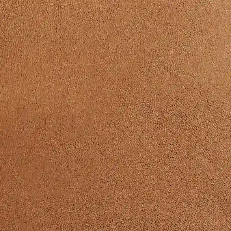 Art Leon Mid-centuery Modern Genuine Leather Chair