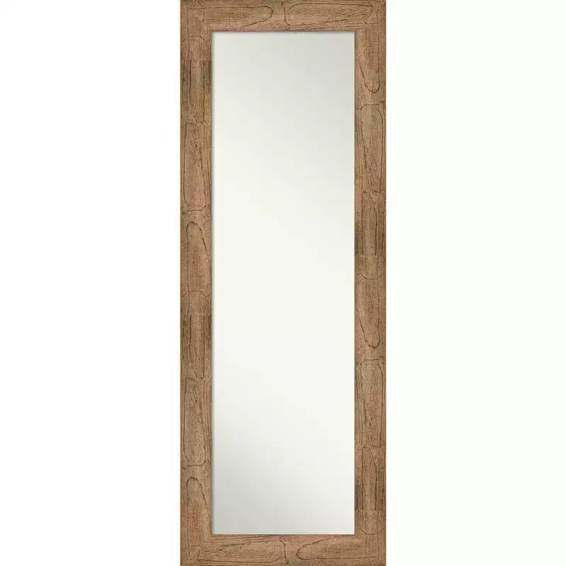 20 x 54 Non-Beveled Owl Brown Wood on The Door Mirror - Amanti Art