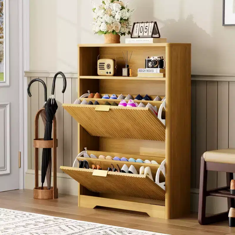 Modern Shoe Storage Cabinet with 2 Flip Drawers and Removable Shelves, Entryway Shoe Organizer for Hallway or Living Room - Panipeachy