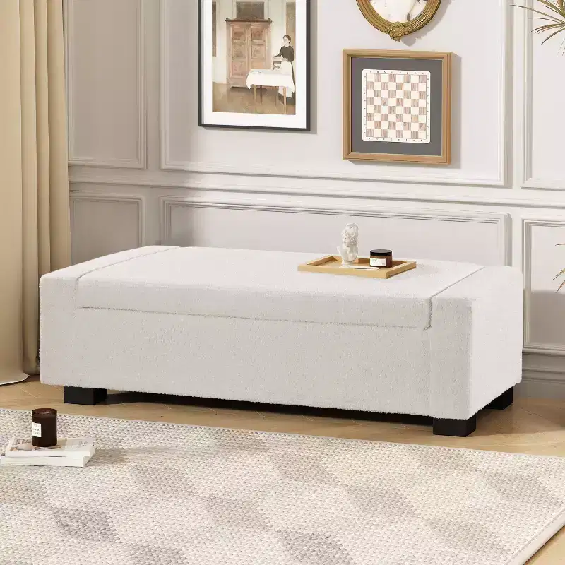 Christopher Knight Home Silas Indoor Upholstered Modern Storage Ottoman Beige