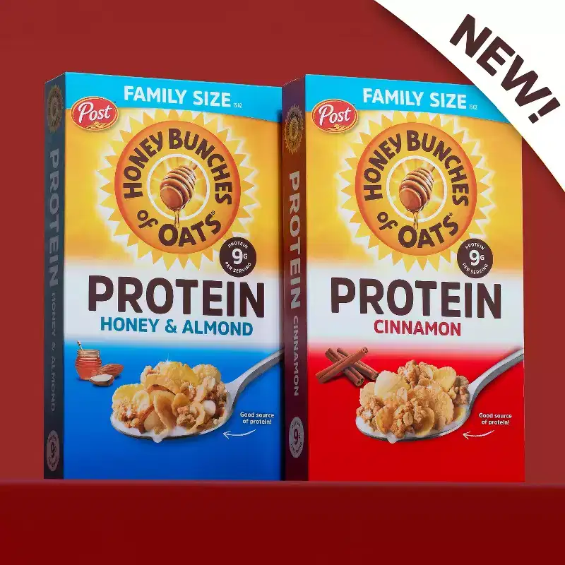 Honey Bunches of Oats Protein Cinnamon Breakfast Cereal - 15oz