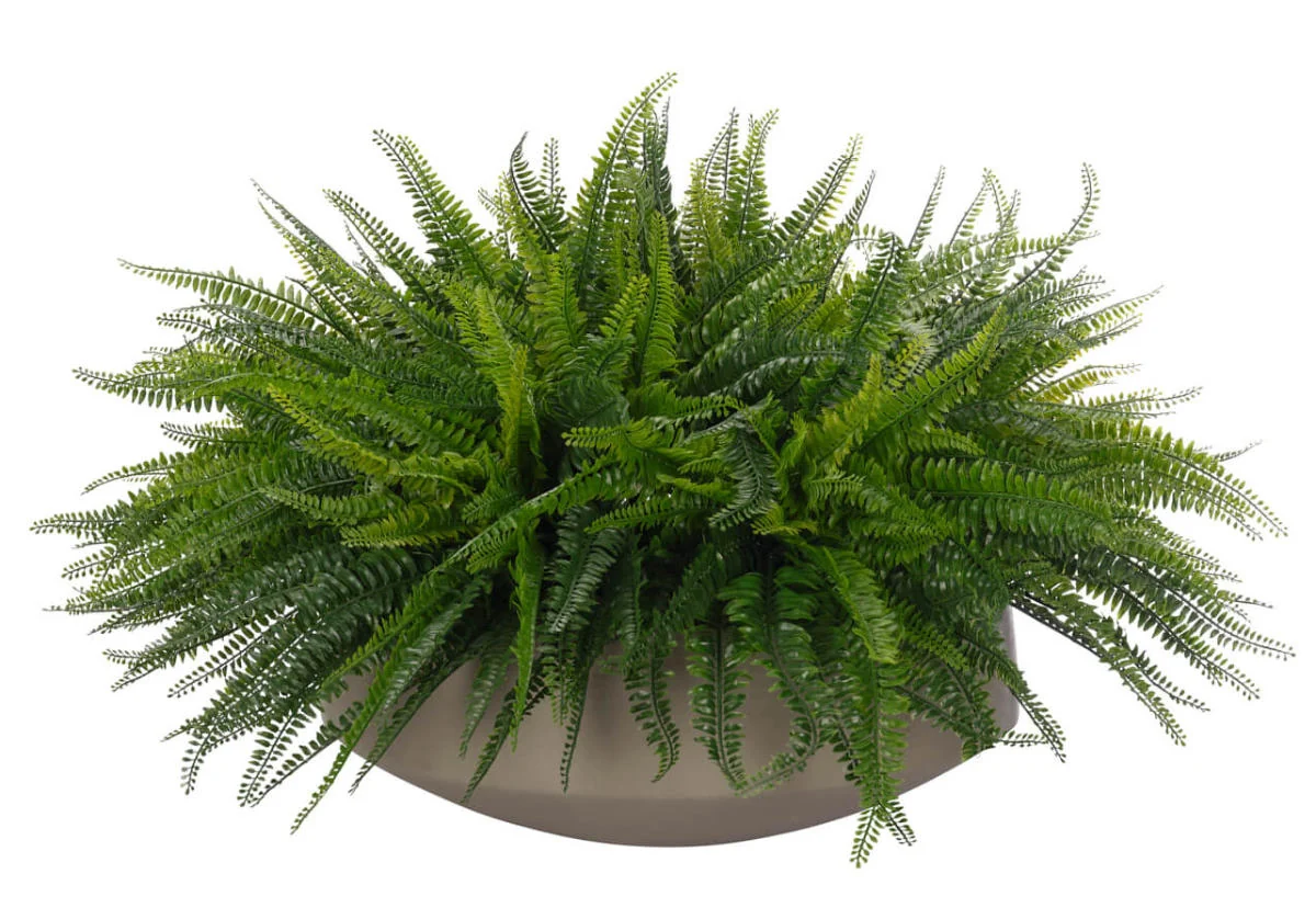 Botanical Synthetic Fern Plant with Concrete Planter for Living Room & Balcony