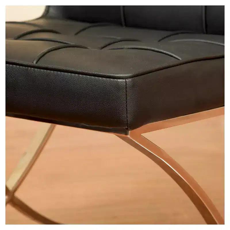 Set of 2 Milania Dining Chair - Christopher Knight Home