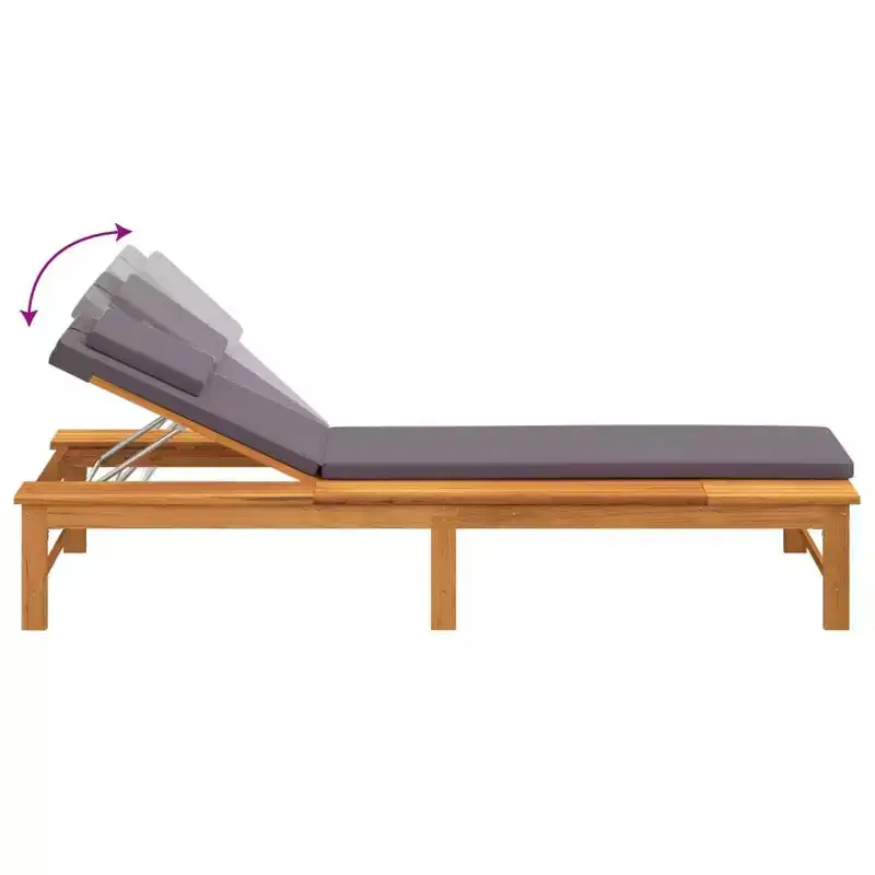 vidaXL Sun Lounger Solid Acacia wood Standard