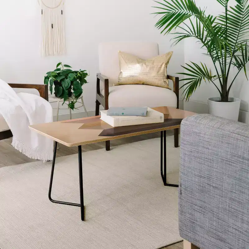 Deny Designs Iveta Abolina Bloc de Couleur Coffee Table Black