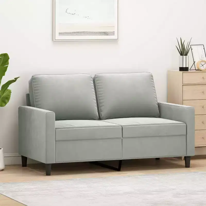 Light Gray Velvet 2-Seater Loveseat with Metal Frame