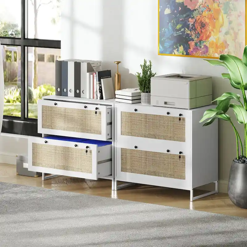 2 Drawer File Cabinet with Lock, Vertical Filing Cabinet with Keys