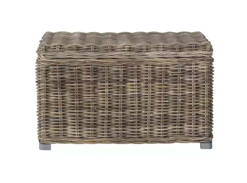 Mikasi Trunk - SEA7018 - Grey - Safavieh