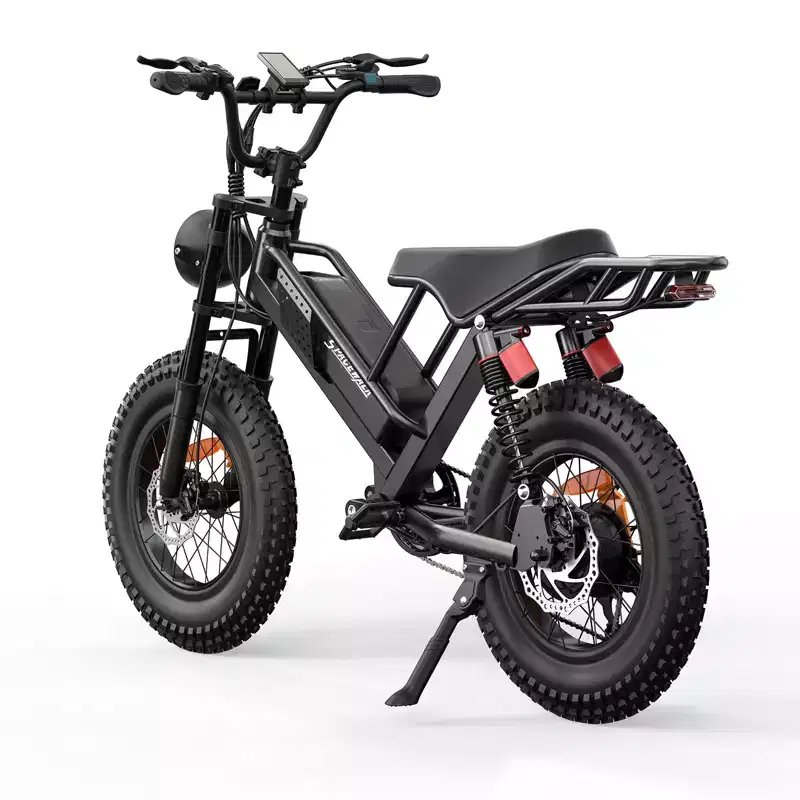 Eilleo 20 Fat Tire E-Bike  750W Motor (920W Peak), 24.9 mph, 5070 Mile Range, 48V 15.6Ah Battery, Dual Suspension, Shimano 7-Speed