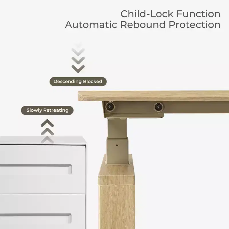 EUREKA ERGONOMIC Modern height adjustable Standing Desk(63x29)