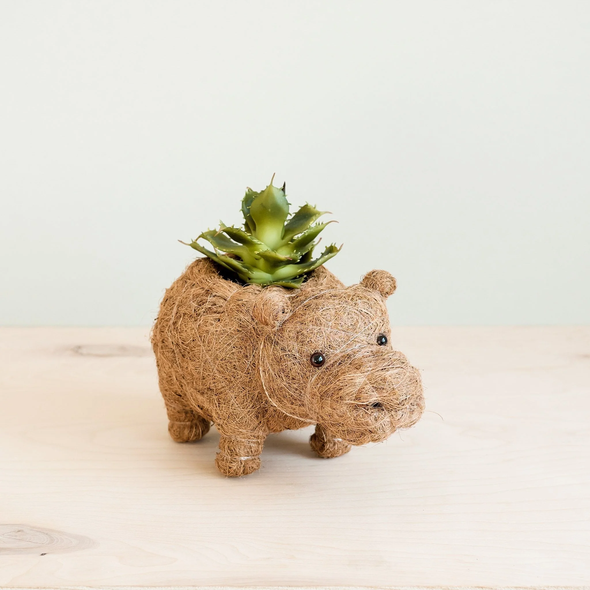 Baby Hippo Plant Pot - Handmade Pots