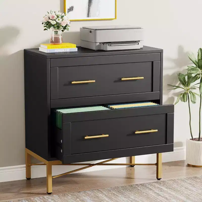 Lantine 2-Drawer File Cabinet, Modern Wood Lateral Filing Cabinet for Letter/Legal/A4 Size with Printer Stand for Home Office, Black and Gold