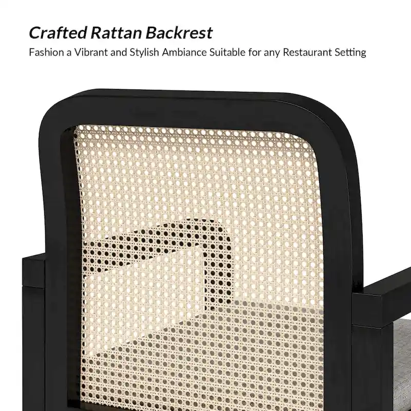 Antoine Modern Ratten Back Dining Chair with Removable Cushion Set of 6 by HULALA HOME