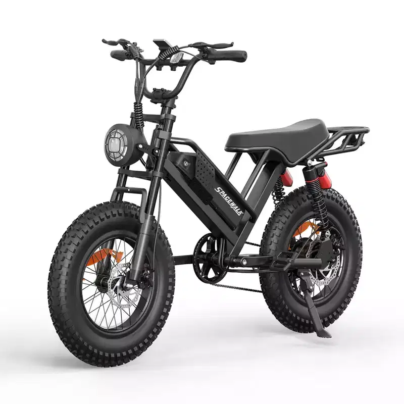 Eilleo 20 Fat Tire E-Bike  750W Motor (920W Peak), 24.9 mph, 5070 Mile Range, 48V 15.6Ah Battery, Dual Suspension, Shimano 7-Speed