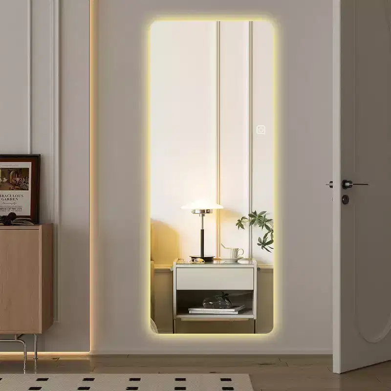 Full Length LED Vanity Mirror with Lights, Dimmable 3-Color Modes, Floor or Wall Mounted, Modern Bedroom Makeup Mirror-Panipeachy