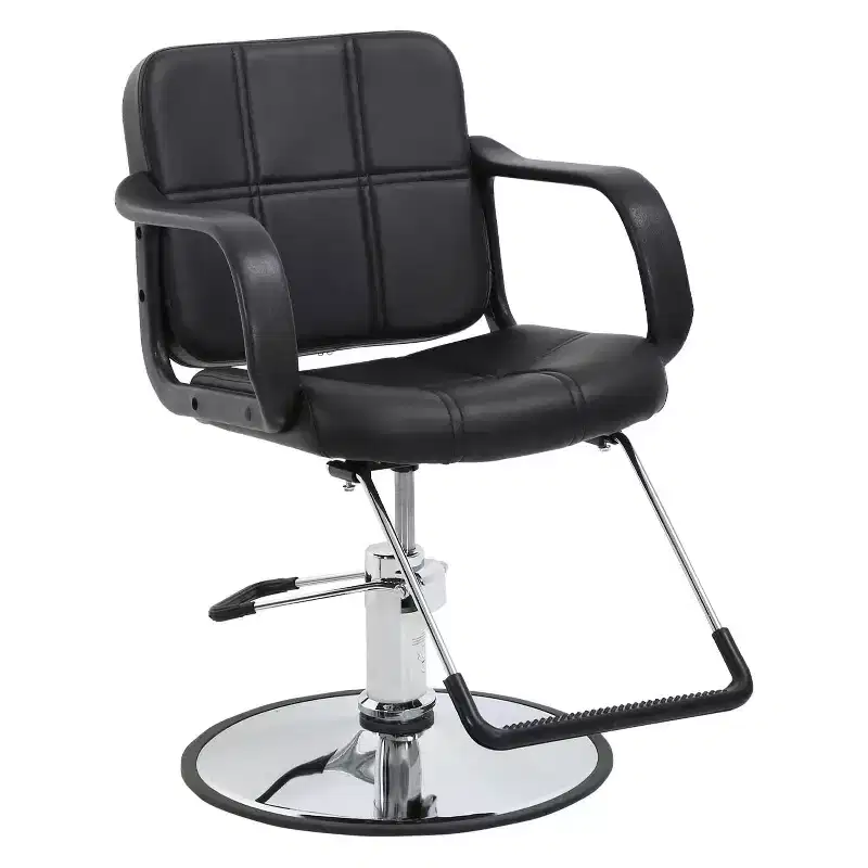 Barber Chair Professional Salon Chair Heavy-Duty Hydraulic Pump with Swivel Base