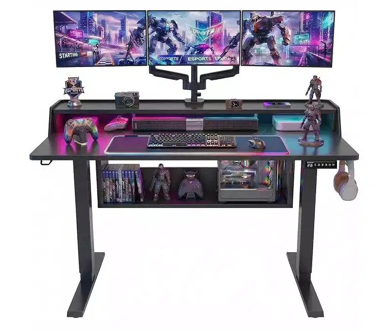 55x28 In Electric Standing Desk, Adjustable Sit Stand Desk with Bookshelf Monitor Stand, Stand Up Desk for Home Office with LED Light Strip