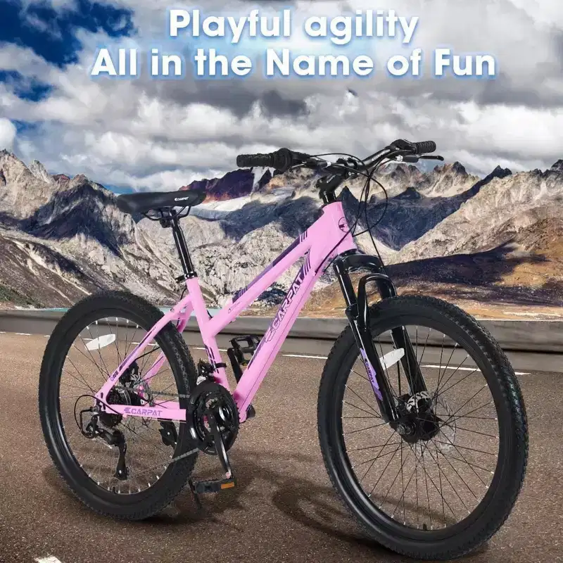 NAYSAYE Bicycle 24 Inch Mountain Bike with 21 Speed Shifter Dual Disc Brakes for Teenagers and Women, Pink, 66*24.8*35