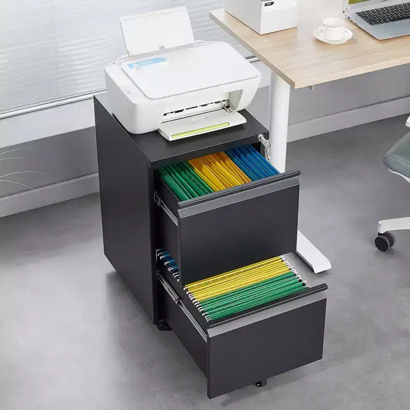 Black 2-Drawer Lockable Rolling Metal File Cabinet, Under-Desk Mobile, 1-Person Use