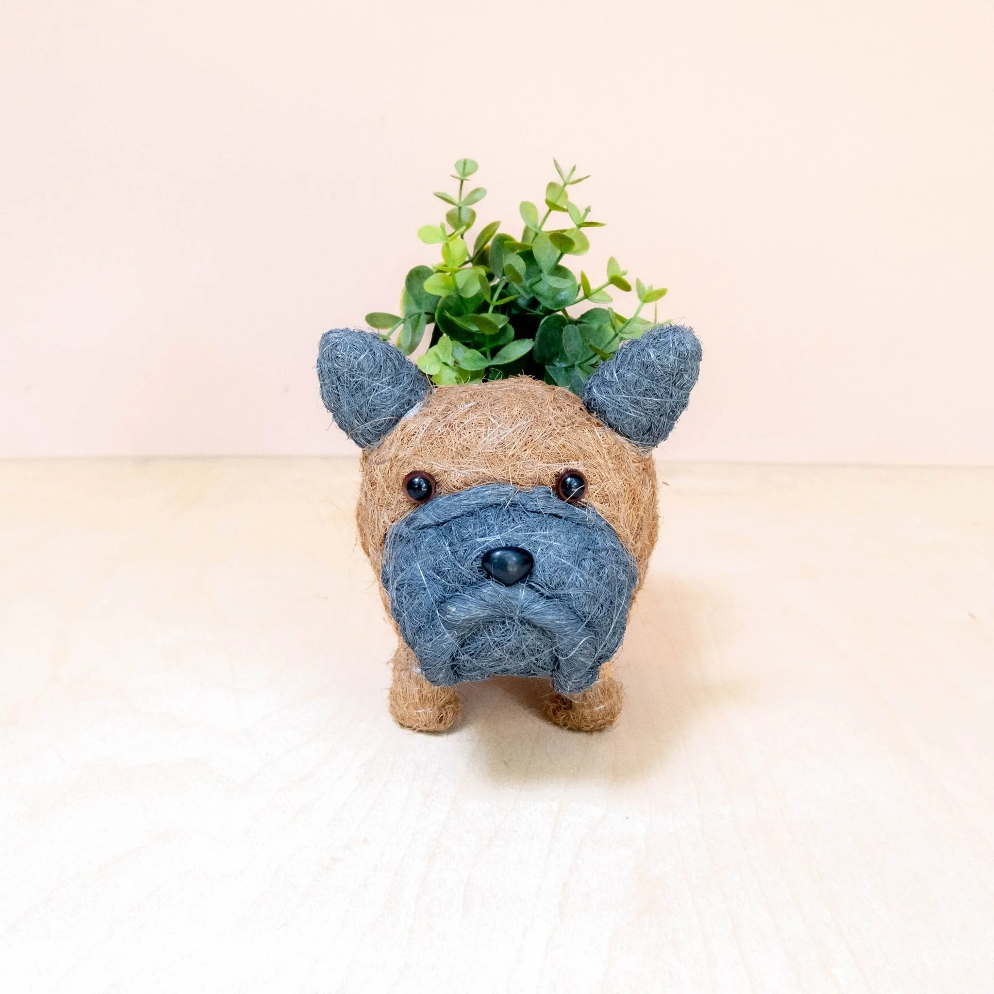 Baby French Bulldog Planter - Coco Coir Pots