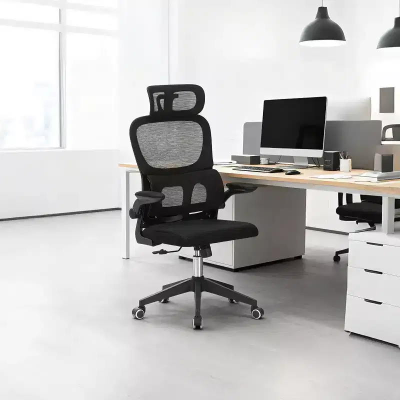 High Back Ergonomic Office Chair, Mesh Desk Chair with Adjustable Lumbar Support, Swivel Rolling Computer Chair for Home Office-Panipeachy
