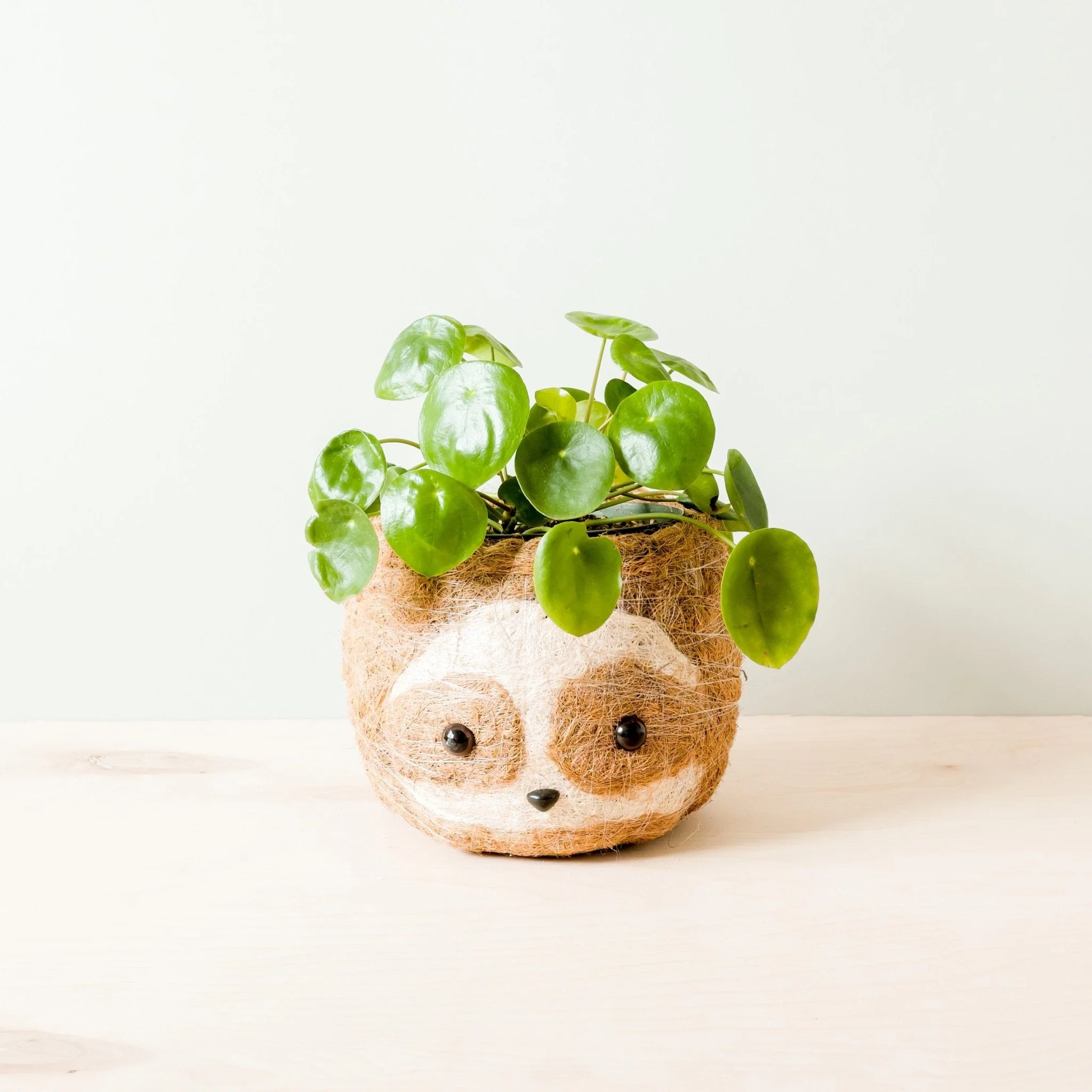 Large two-tone Sloth - Coco Coir Pots (6 inch)