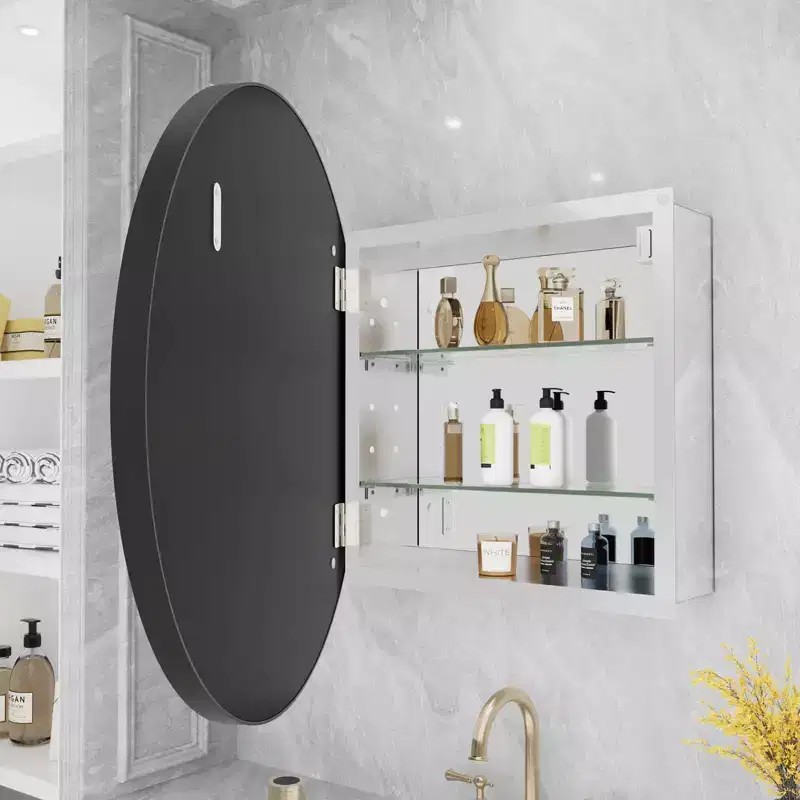 WallBeyond 24" Aluminum Round Door Cabinet Vanity Mirror Black