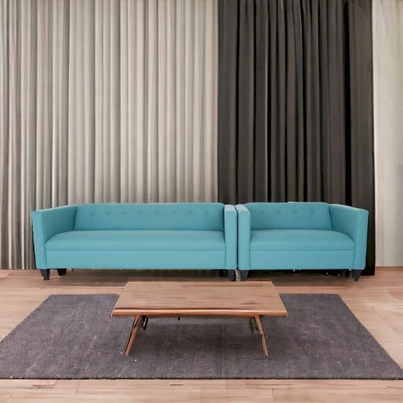 Coast to Coast Sofas Contemporary Loveseat and Sofa Set Polyester Nylon Solid Wood Frame Upholstered
