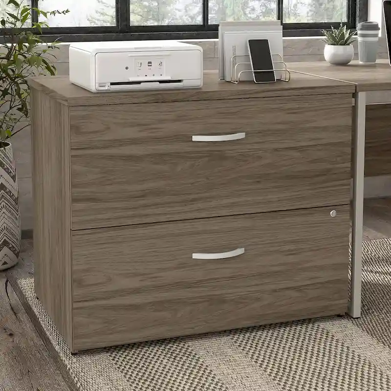 Hybrid 2 Drawer Lateral File Cabinet by