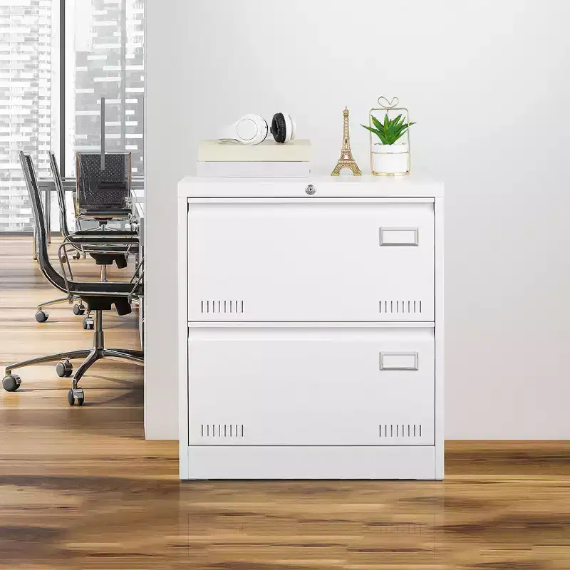 2 Drawer File Cabinet with Lock, Metal Vertical Filing Storage Cabinet, Under Desk Legal/ Letter Size Files Storage Cabinet For Office Home