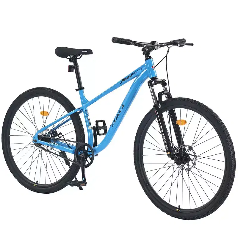 Okak 29IN Single Speed Mountain Bike, Adult Bike with Steel Frame and Front Suspension, Mens Bike for Commuting, Travel, Mountain