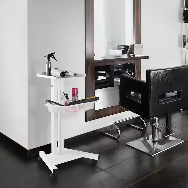 Rolling Equipment Cart, Salon Trolley Stand, White