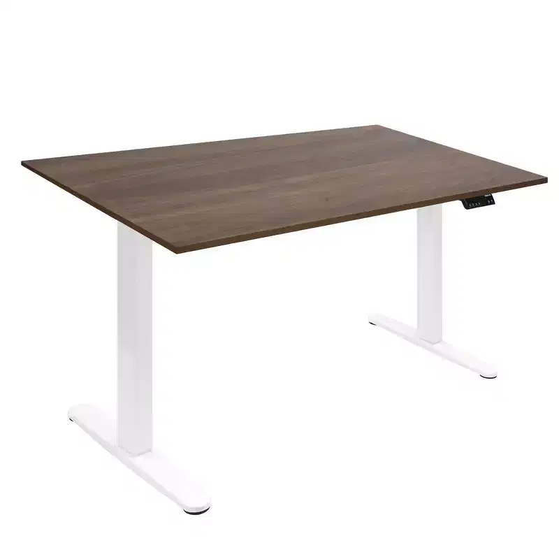 Mount-It! Dual Motor Electric Standing Desk with 55 Tabletop, Adrift & White