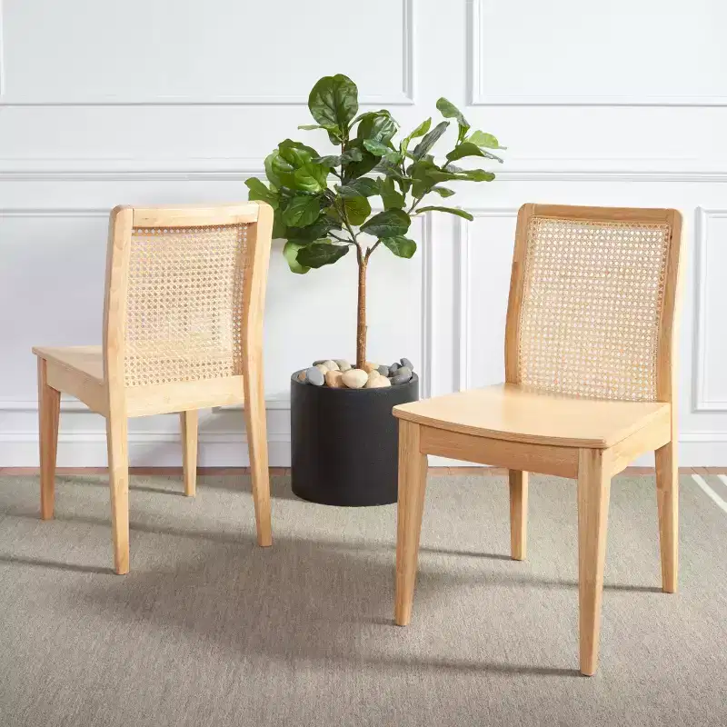 Rattan Dining Chair - DCH1005 -