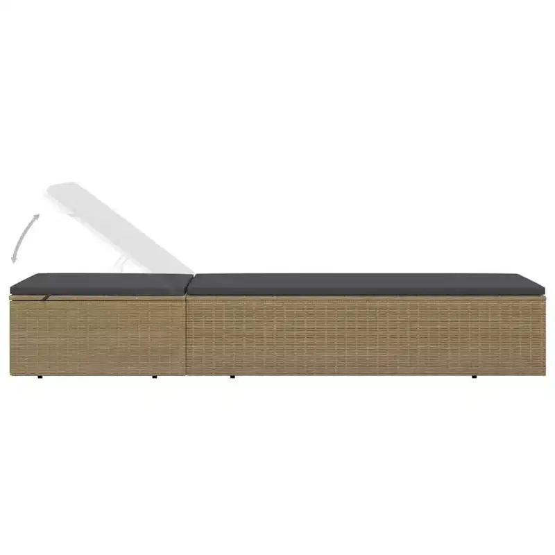 vidaXL Sunlounger and PE rattan Standard Foldable