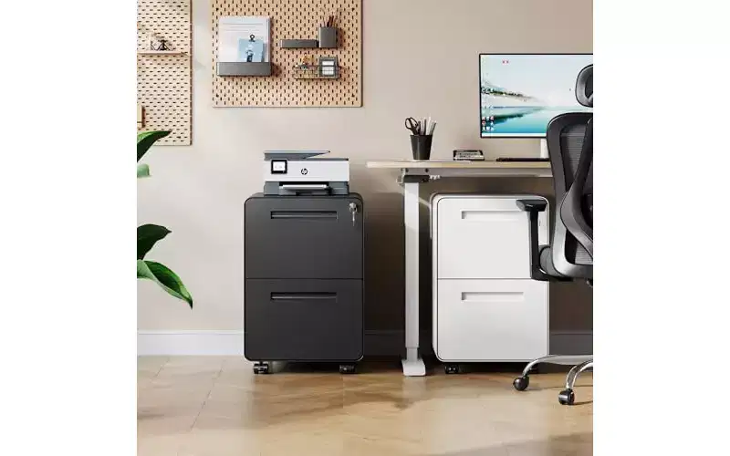DEXYLLO 2-Drawer Rounded Corner Metal File Cabinet with Lock, Mobile Filing Cabinet Under Desk for Home Office, Black