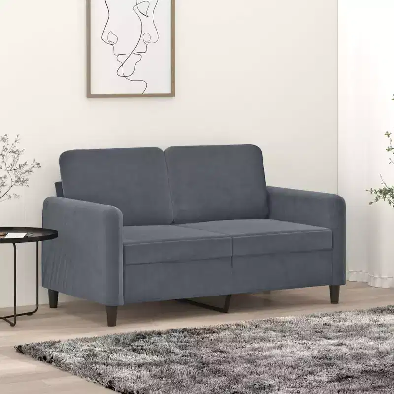 2-Seater Sofa Dark Gray 47.2 Velvet