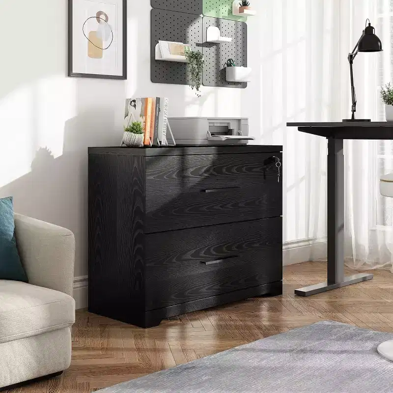 DEXYLLO 2-Drawer Wood Lateral File Cabinet with Lock for Home Office