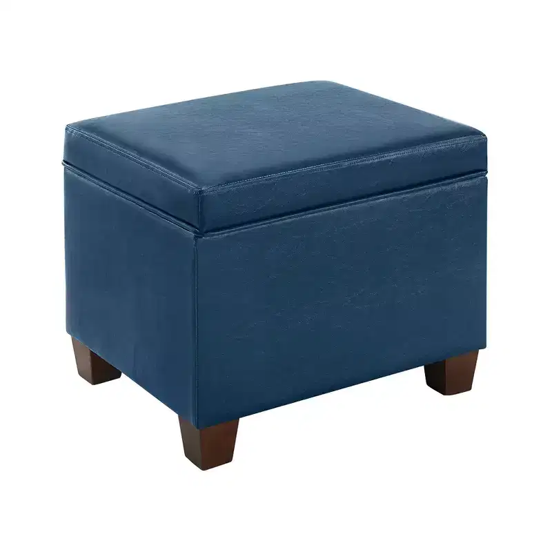 Storage Ottoman with Padded Seat