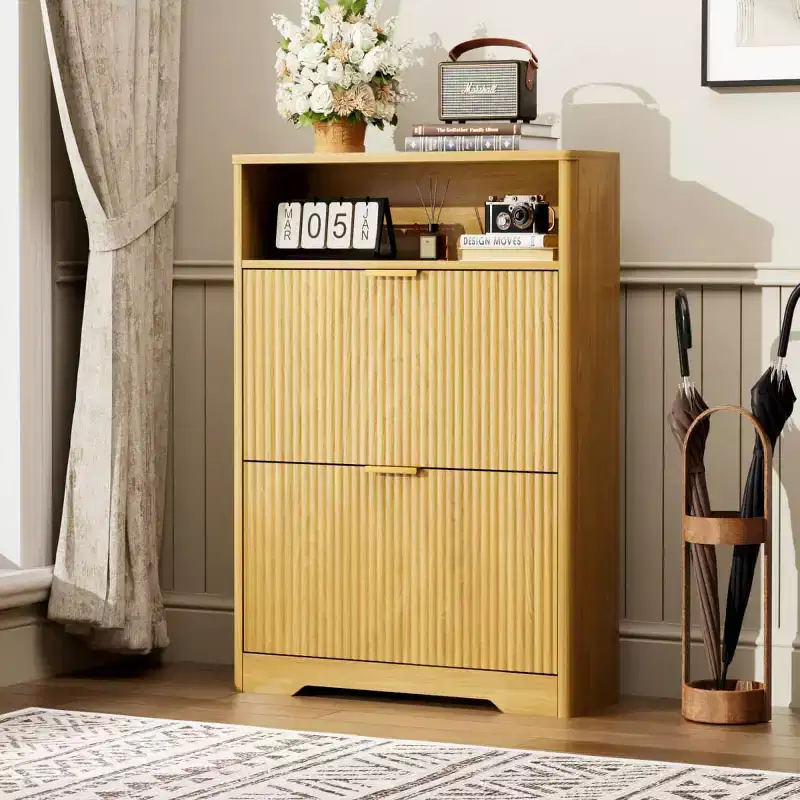 Modern Shoe Storage Cabinet with 2 Flip Drawers and Removable Shelves, Entryway Shoe Organizer for Hallway or Living Room - Panipeachy