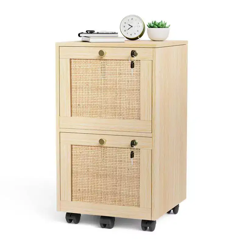 Karl Home 2-Drawer Beige MDF 14.96in. W Vertical File Cabinet