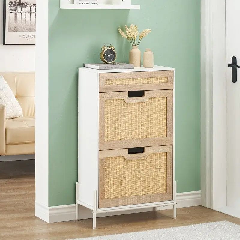 2-Door Flip Shoe Cabinet with Drawer