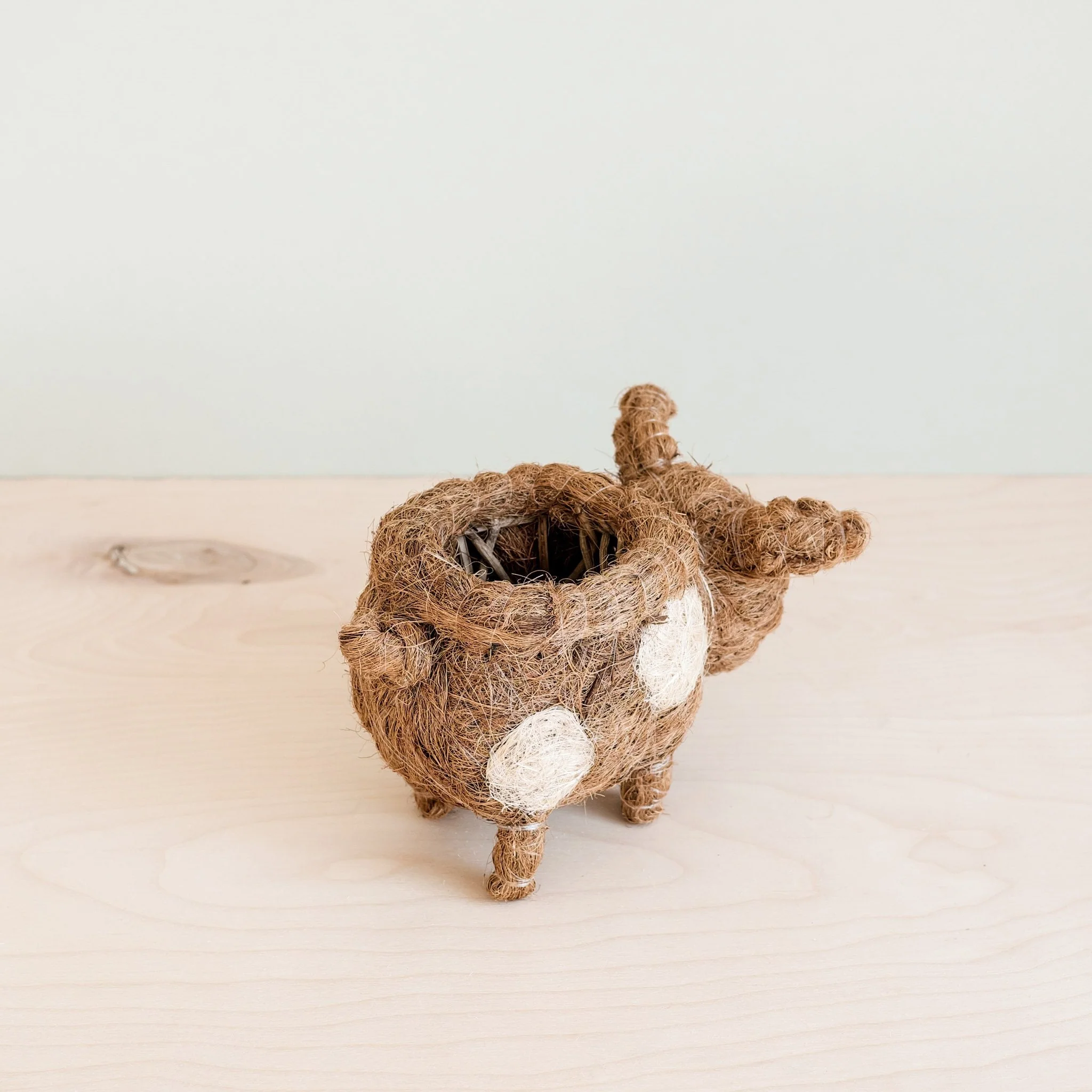 Baby Pig Succulent Pot - Handmade Planters