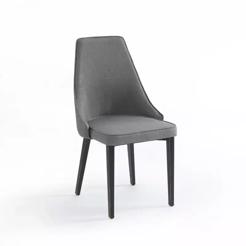 Probe Hues Modern Upholstered Dining chairs,Metal Armless Chair for Kitchen & Dining Room